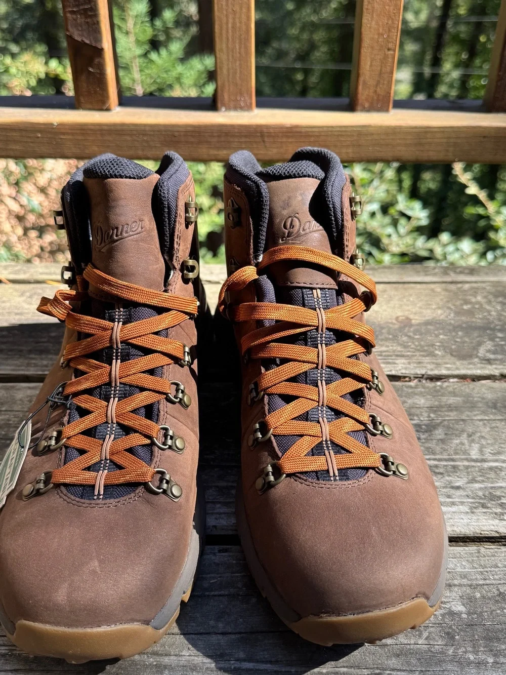 NWT Danner Mountain 600 Leaf GTX Hiking Boots - Men's 11